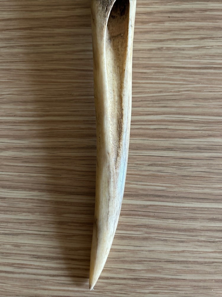 Antique Custom Made Bone Knife From New Guinea