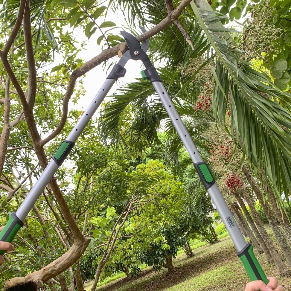 Extendable Tree Cutter 38 Inch Anvil Lopper Garden Pruning Shears Tool