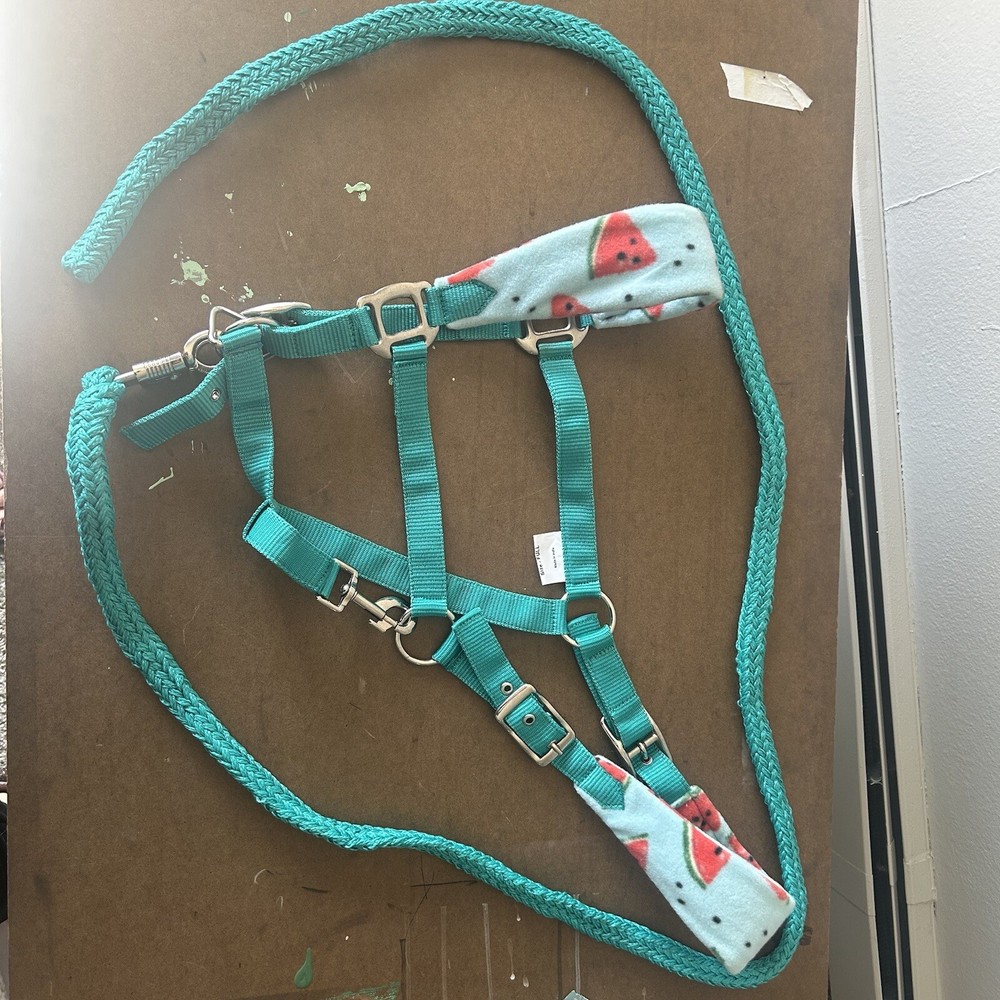 Ponyo Horse Halter