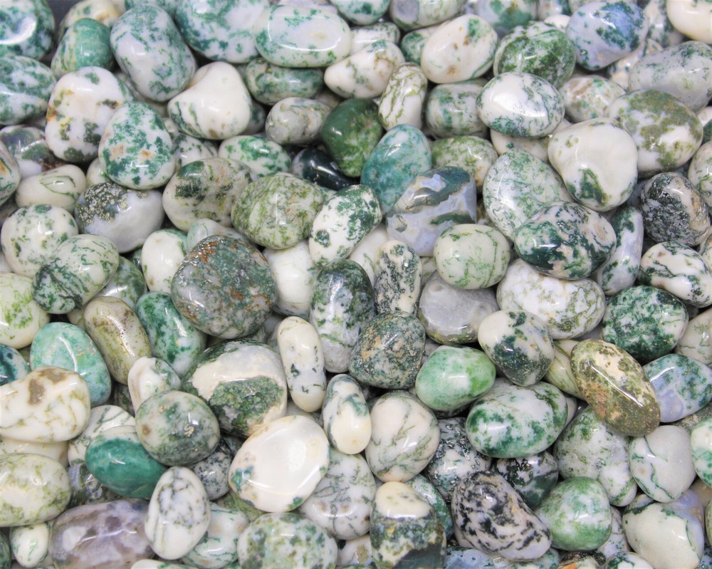 1/2 lb Bulk Tree Agate Agate Tumbled Stone (8 oz) Crystal Healing Dendric Agate