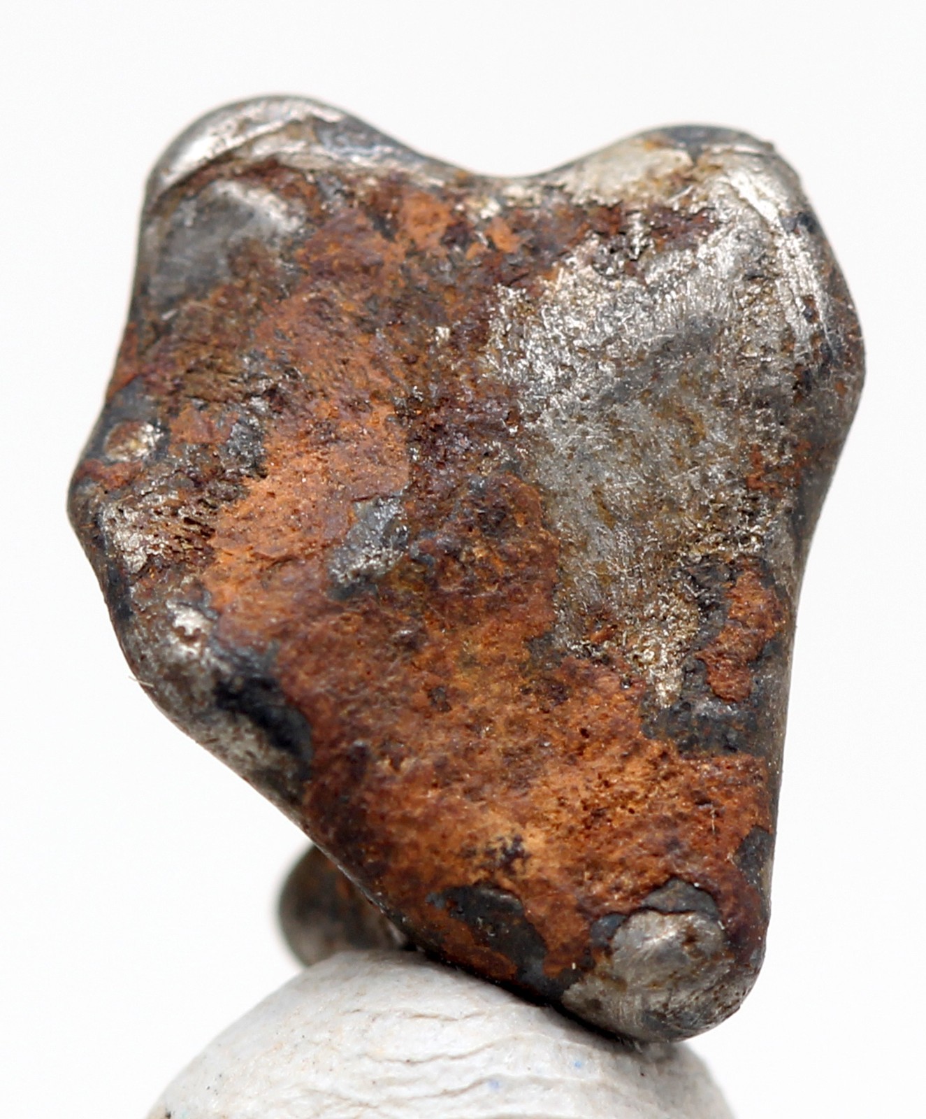 NWA 859 TAZA Iron Meteorite Specimen Space Rock Natural Patina NORTHWEST AFRICA