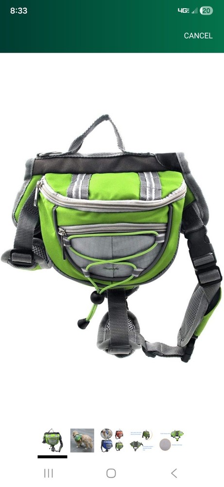 Adjustable saddle bag for large dog.