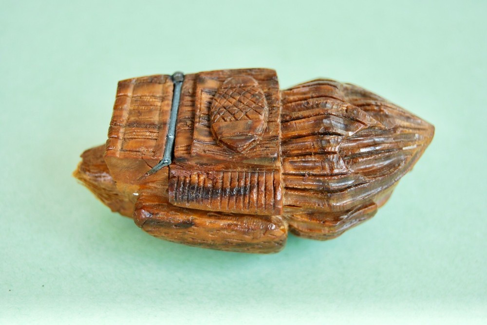ANTIQUE COQUILLA SNUFF BOX