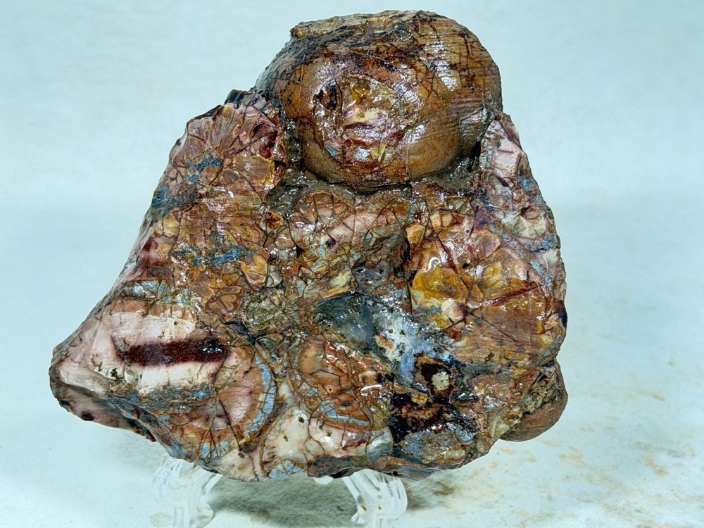 Cold Mountain Jasper Heel, Lot #43