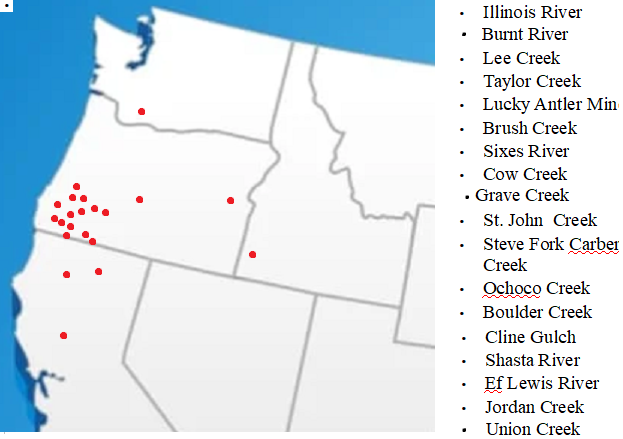 Republic Mining Prospectors Association Membership. Access to 18 Mining Claims.