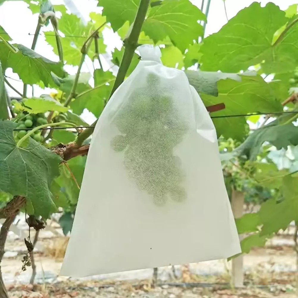 100PCS Garden Plant Fruit Vege Protect Drawstring Bags Against Insect Pest Bird