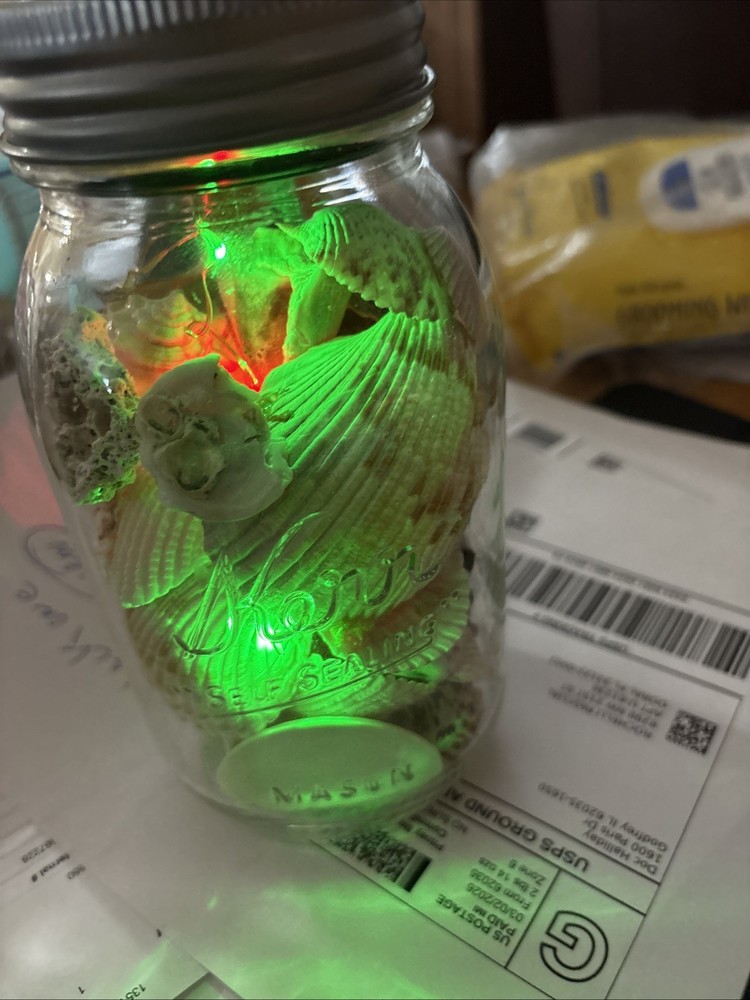 Shells In Lighted Jar