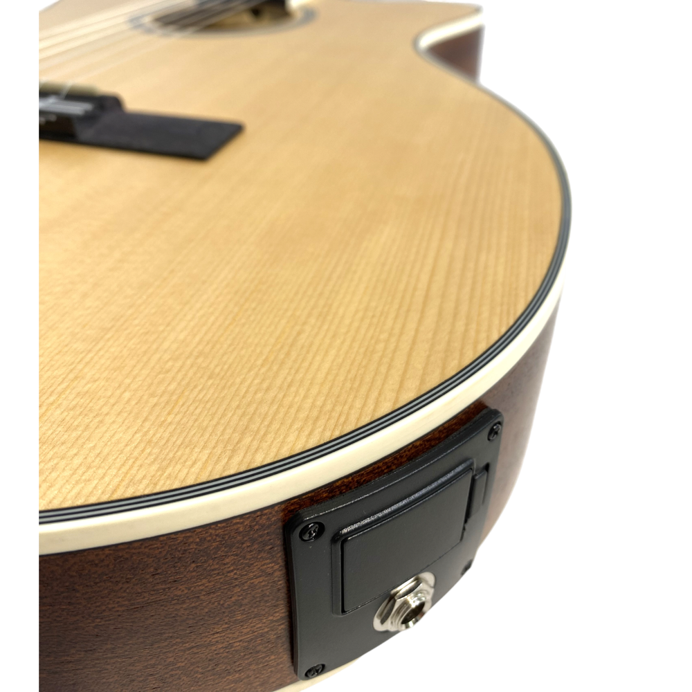 Haze C551BCEQSMFL Solid Top Fretless Arched Back Classical Guitar - Matte