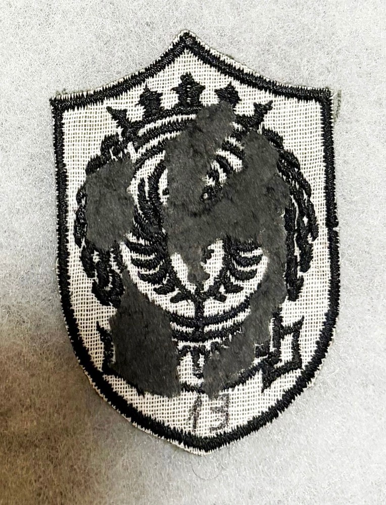 Chile Army Estovir Pocket Patch