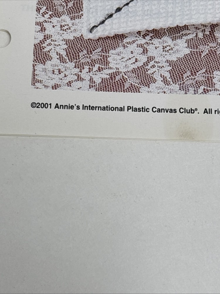 Be Mine Kitchen Caddy Annie's Attic Plastic Canvas Pattern Page