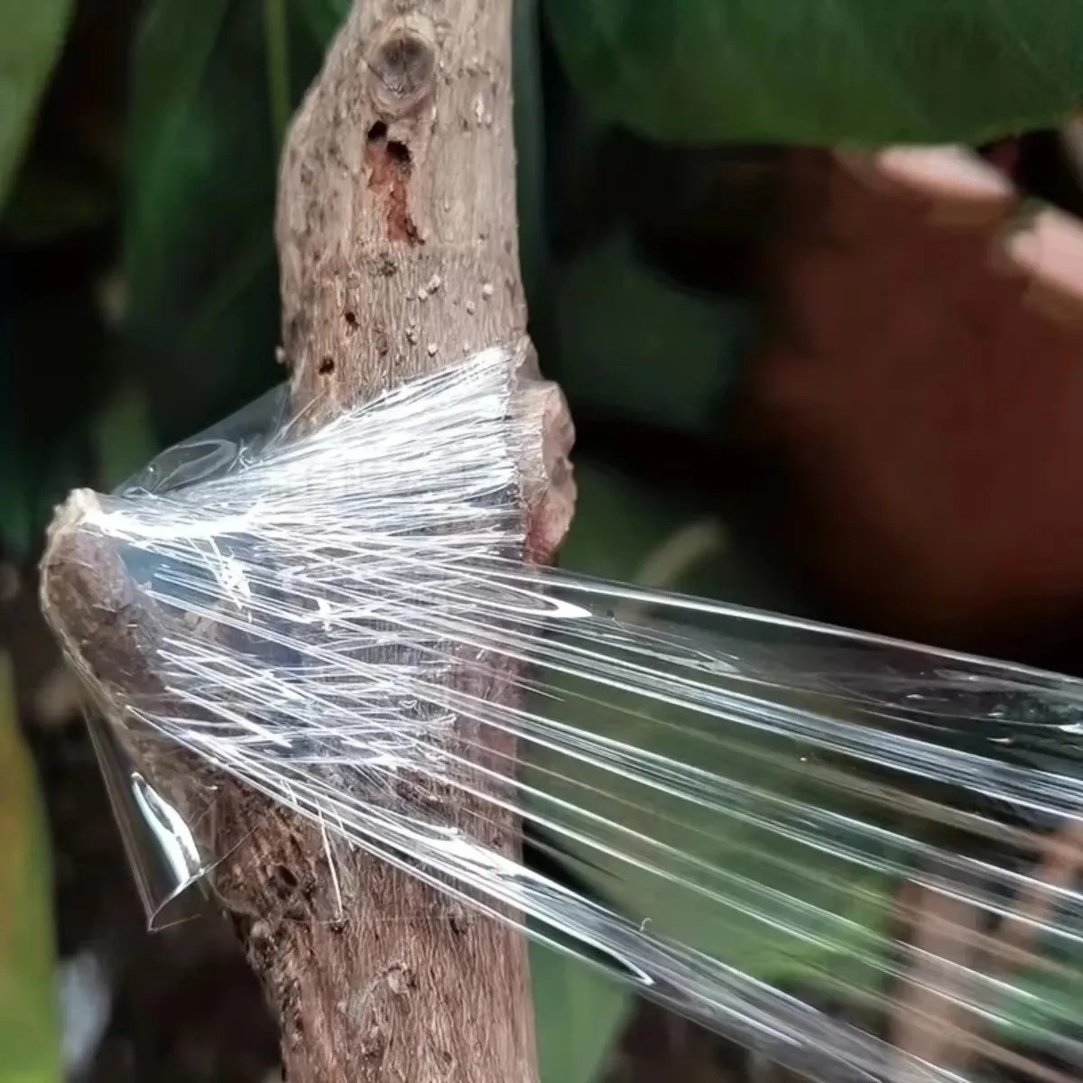 Eco-friendly Biodegradable Grafting Tape Graft Membrane Gardening Bind Belt Plan