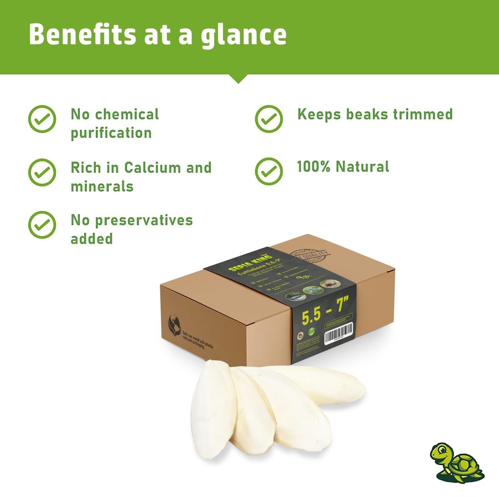 Natural Cuttlebone Calcium Supplement Large