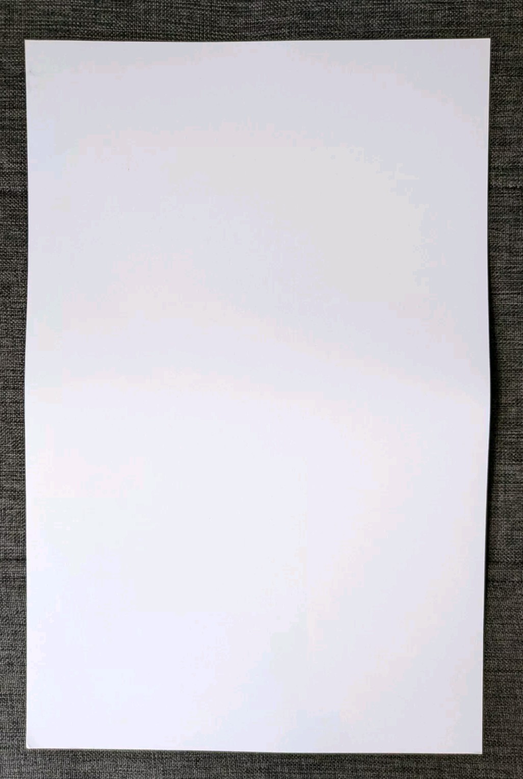 Neil Young Before and After Promo Poster 11" x 17" Classic Rock Marketing Merch