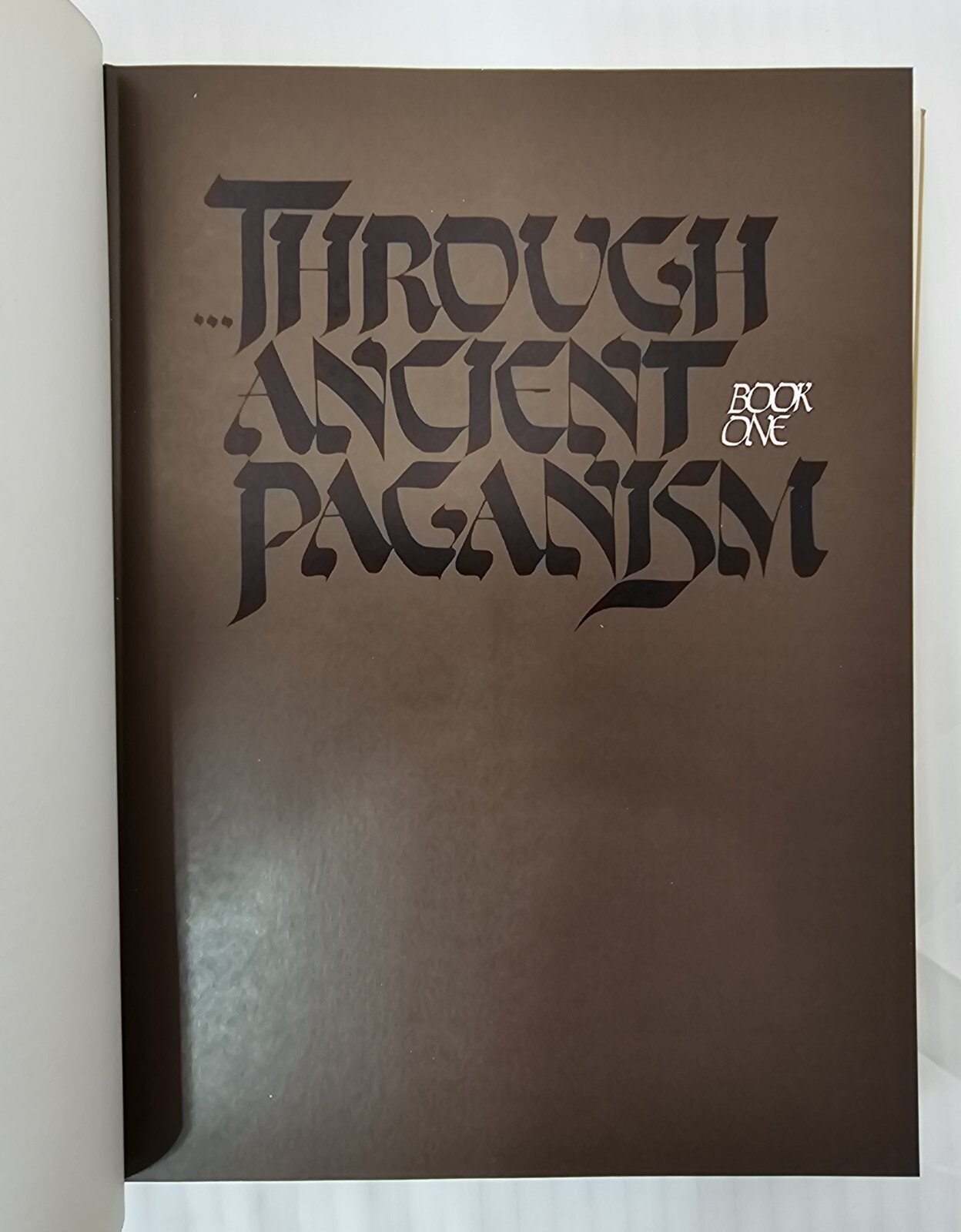 Wanderings Chaim Potok's History of the Jews 1978 Alfred Knopf First Edition HBD