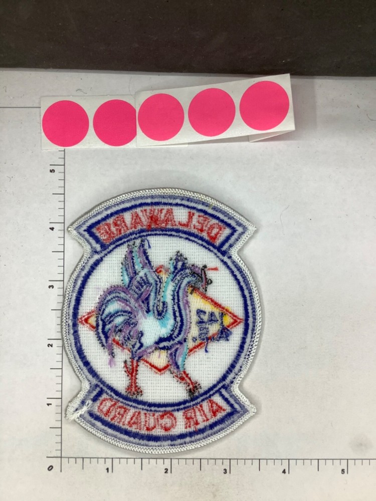 USAF 142ND AS DELAWARE AIR GUARD SQUADRON PATCH