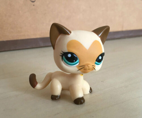 5pcs/lot Littlest Pet Shop toys LPS Random Short Hair Cat Animal Figures New