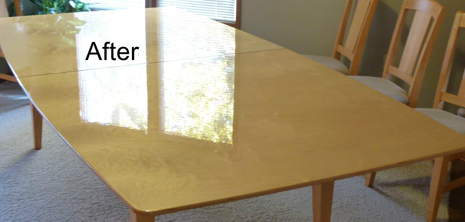 COSTACOAT 16oz. Wipe-On Shine Protective Clear Coat Finish Sealer Protectant NEW