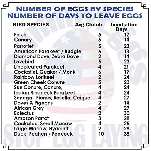 7 Cockatiel Dummy Bird Eggs - Stop Brooding & Laying! Solid Plastic Fake Eggs fo