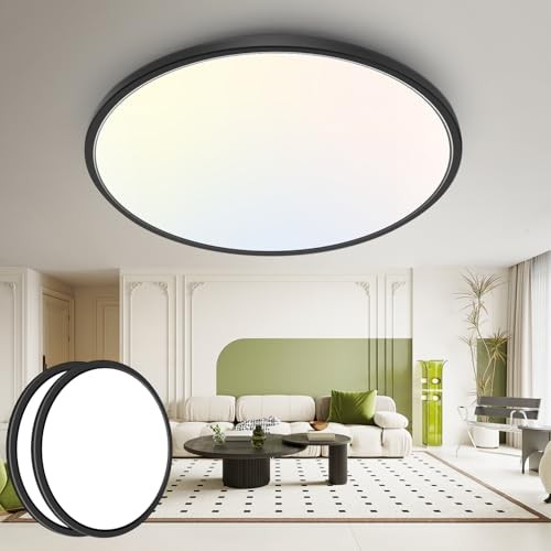 15.8INCH 2Pack Big Dimmable Flush Mount Ceiling Light 15.8Inch-2pack Black