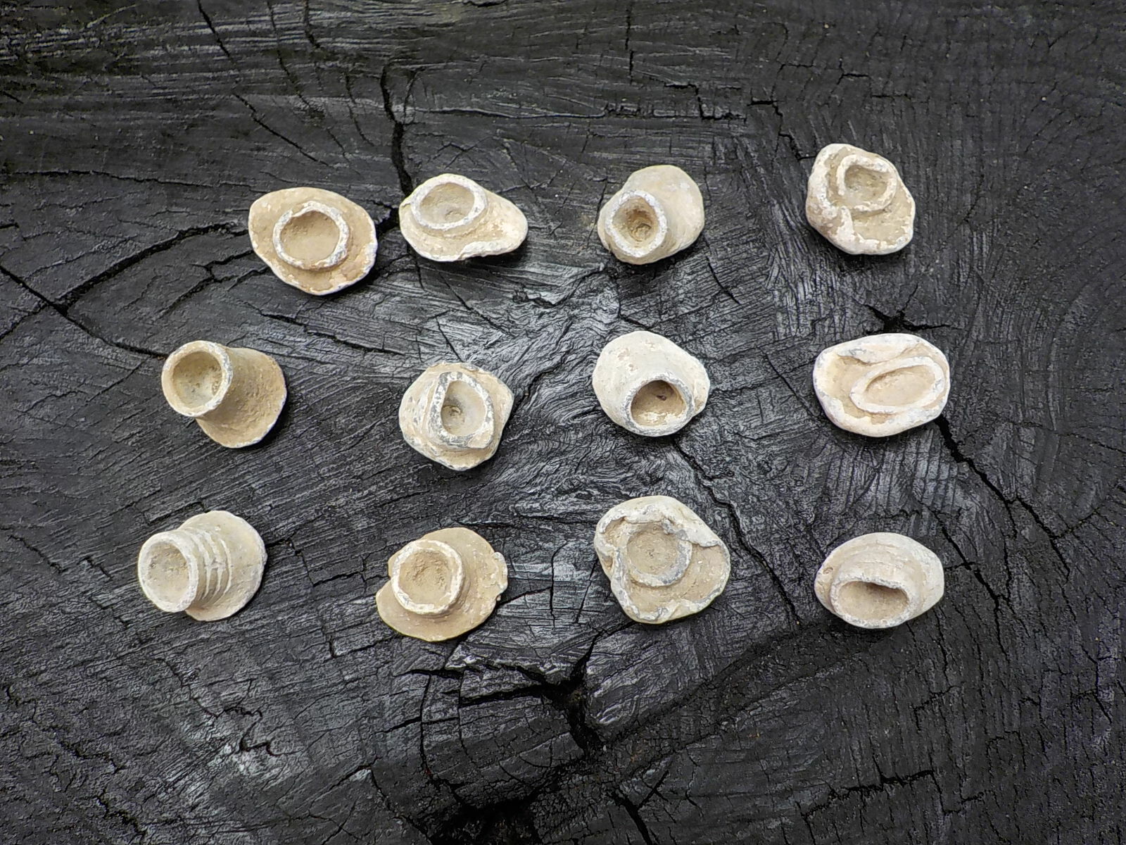 Old Rare Vintage Civil War Miniball Direct Hit Recovered in Appomattox Virginia