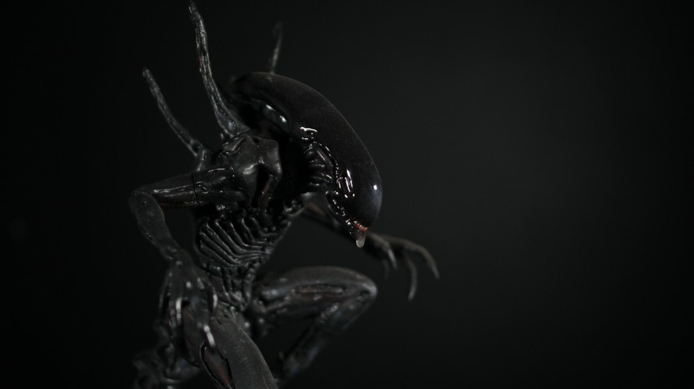 Alien Xenomorph With Eggs 3D Print Diorama Model