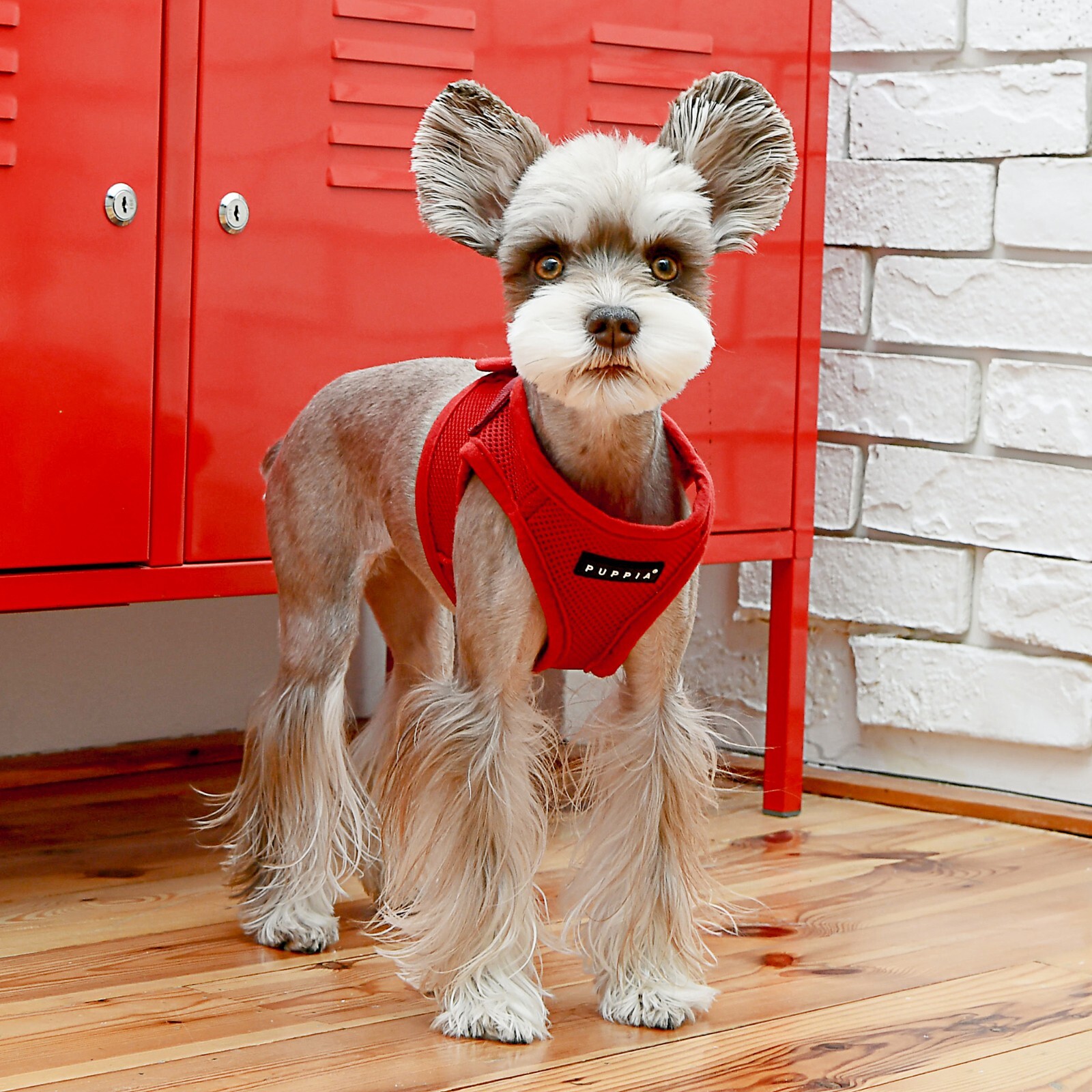 Puppia Soft Vest Step-In Harness for Small / Medium size dogs