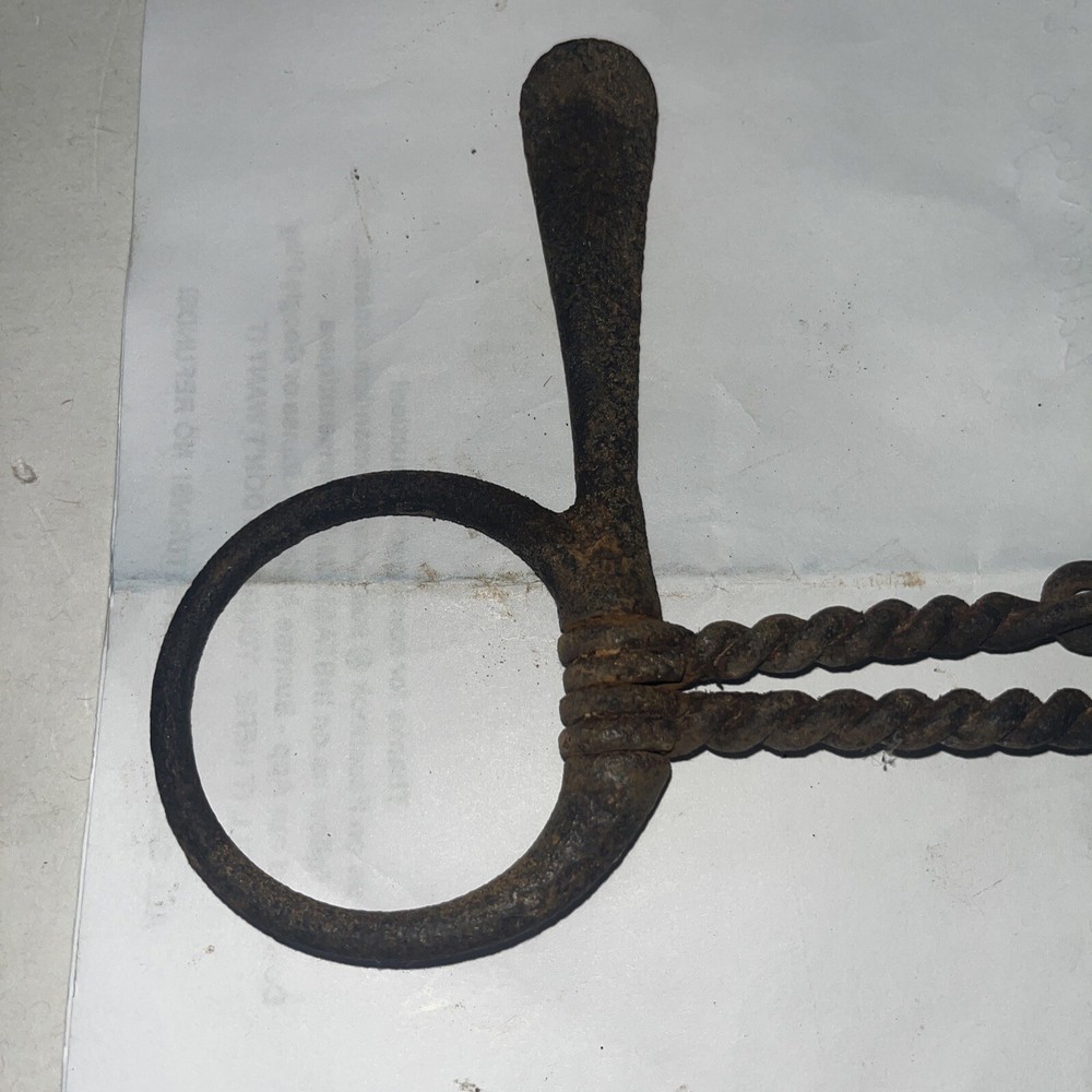 Twisted wire O ring Horse Bit