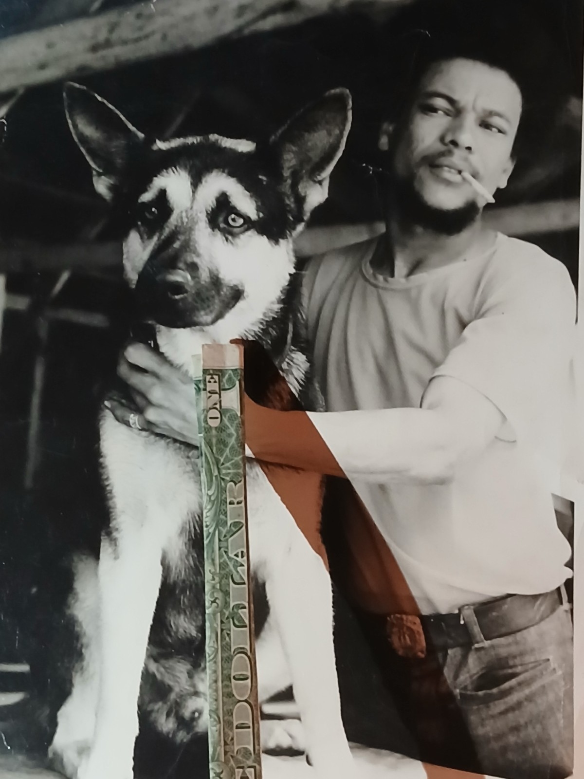 Antique African American * COLORED MAN BEST FRIENDS * CALVIN LITTLEJOHN *