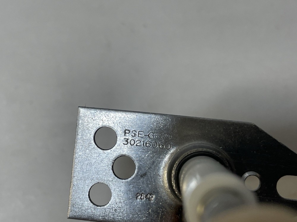 HOG SLAT Brooder Direct Spark Igniter 30216060