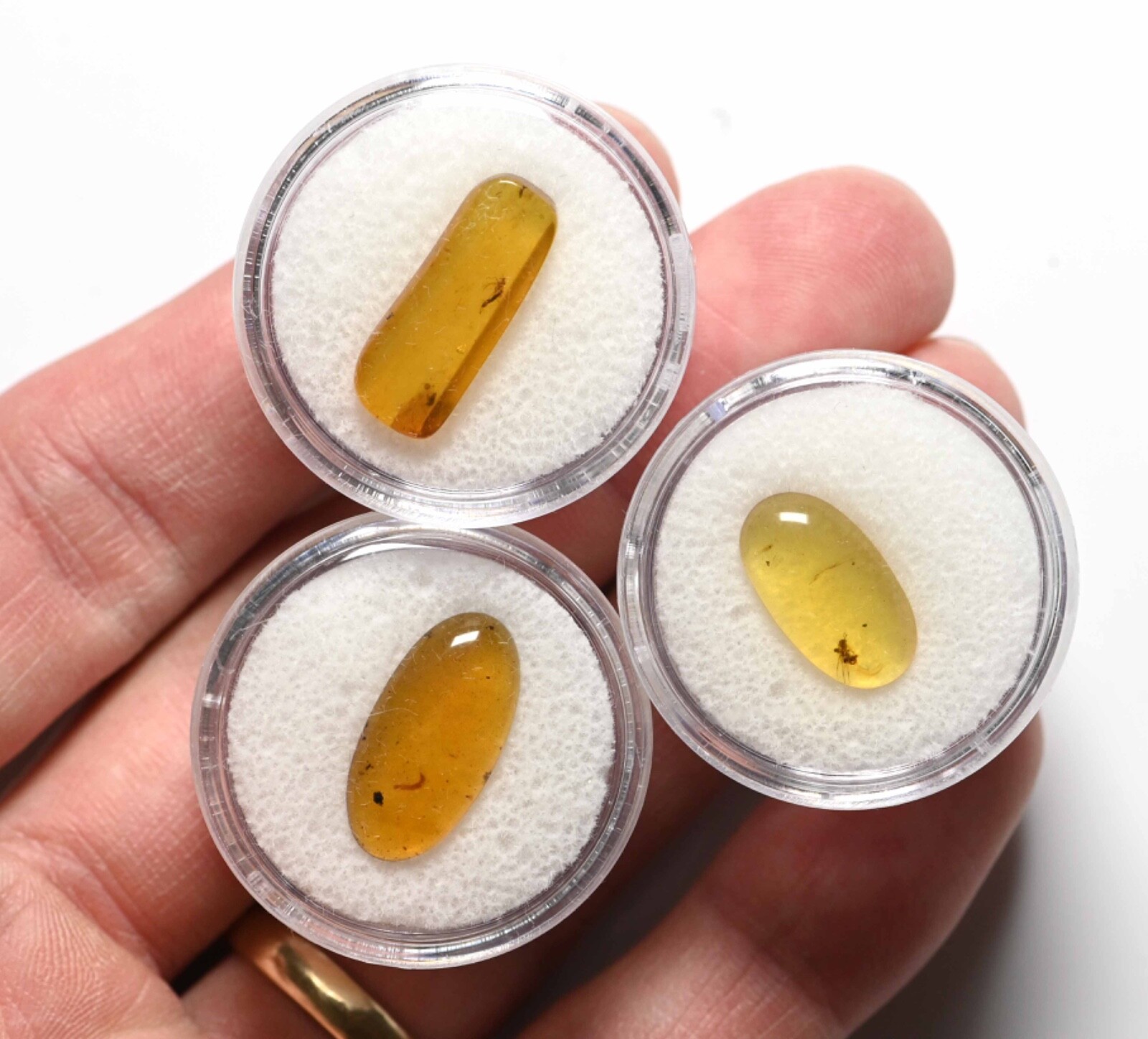 CHOOSE YOUR INSECT - Genuine Burmese Amber Fossil - Price per piece
