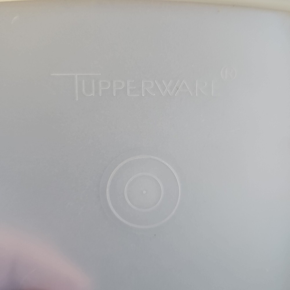 Tupperware Mango/orange Colored Sandwich Keeper