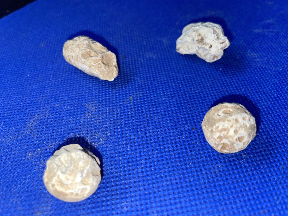 dug civil war relics