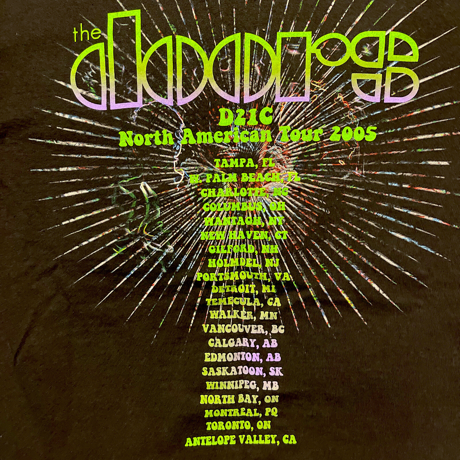 The DOORS of the 21st Century - 2005 Concert T-Shirt : MENS (M) : Pearl Jam