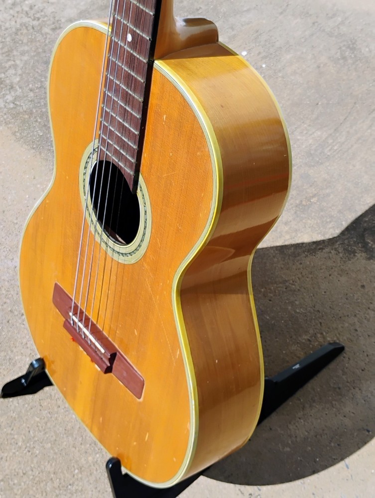 Nardan Acoustic Guitar w/CSC! -LL