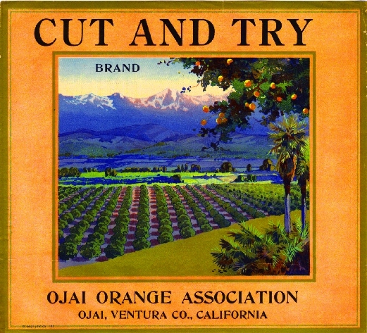 Ojai Ventura County Cut and Try Orange Citrus Fruit Crate Label Art Print