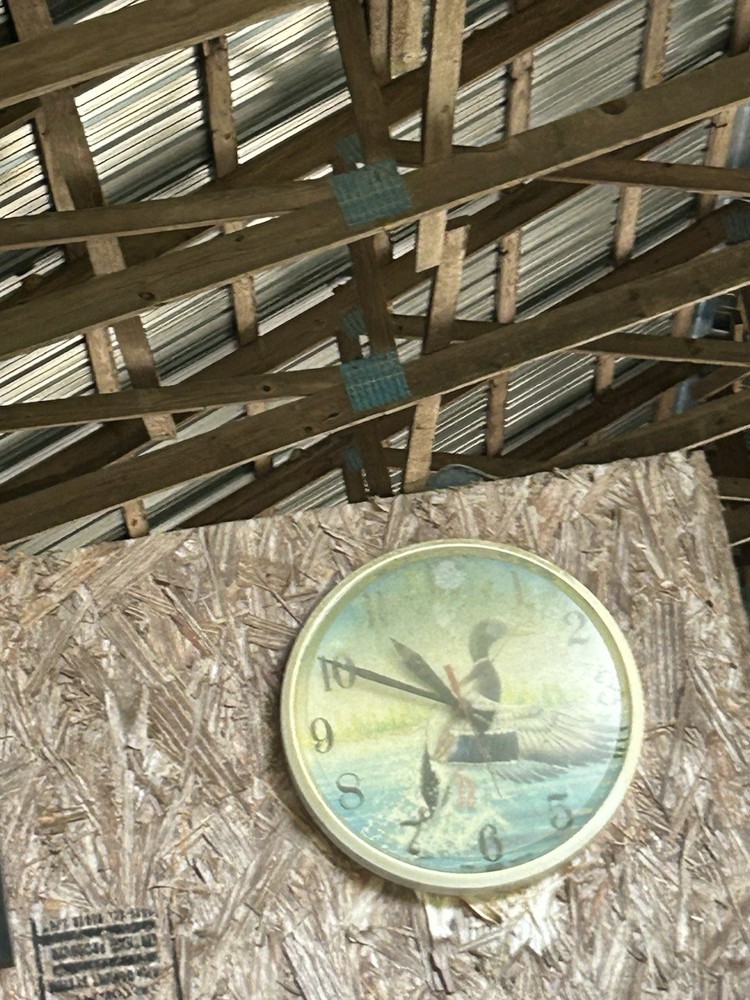 Random Clocks And Signs