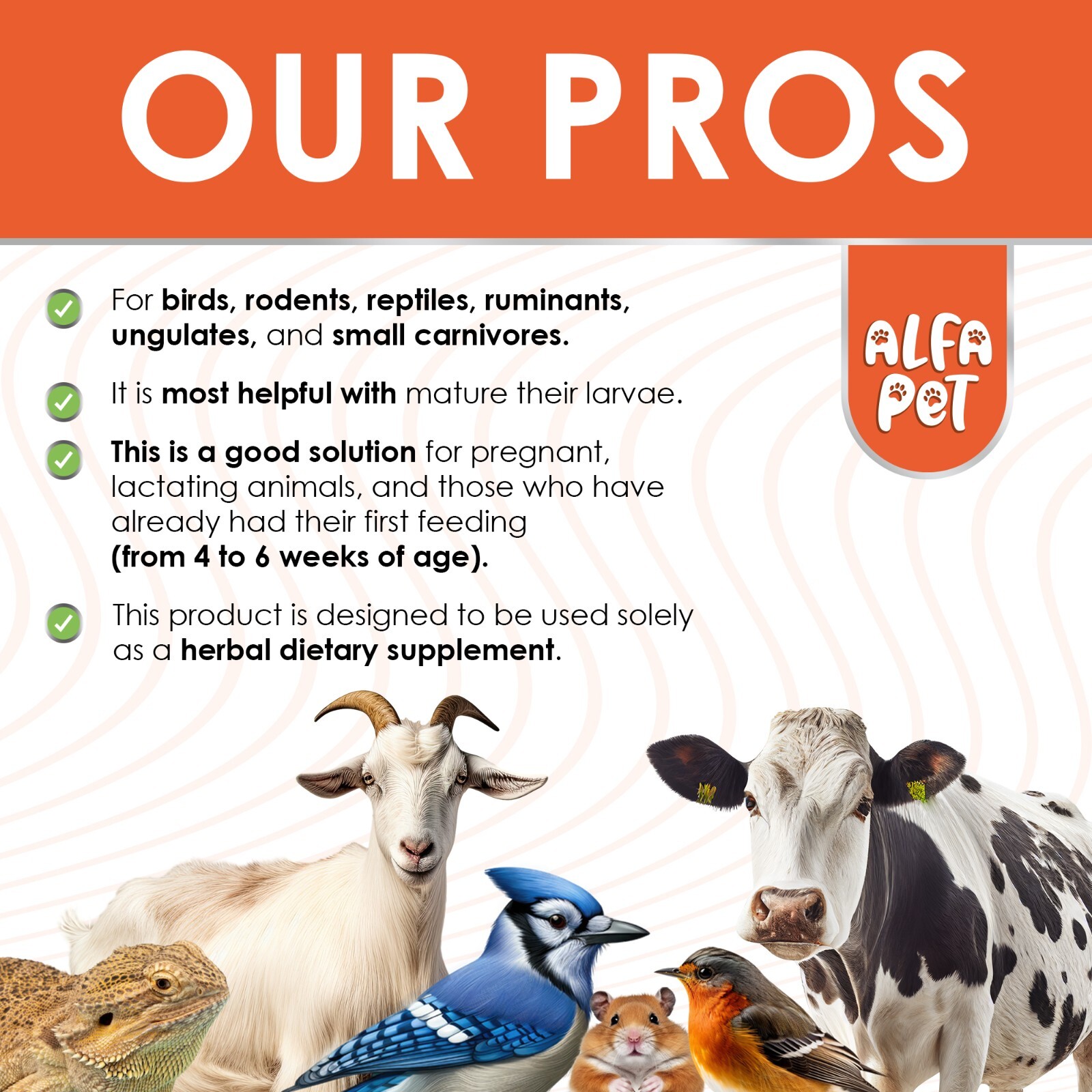 Pet Natural Dewormer Liquid | For Dogs & Cats | Daily Use Worm Support