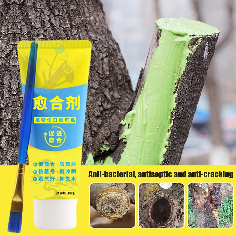 100g Tree Wound Bonsai Cut Paste Smear Agent Pruning Compound Sealer With Brush
