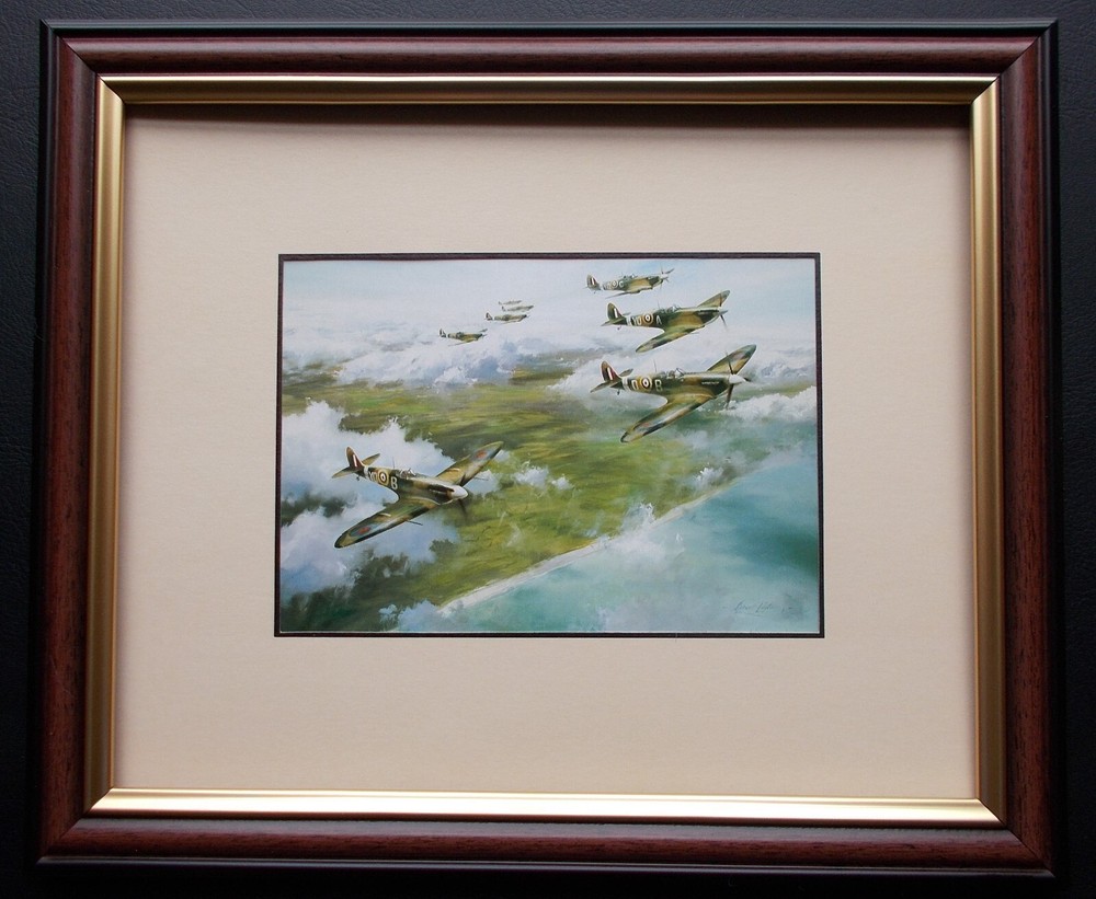 aircraft print framed by robert taylor