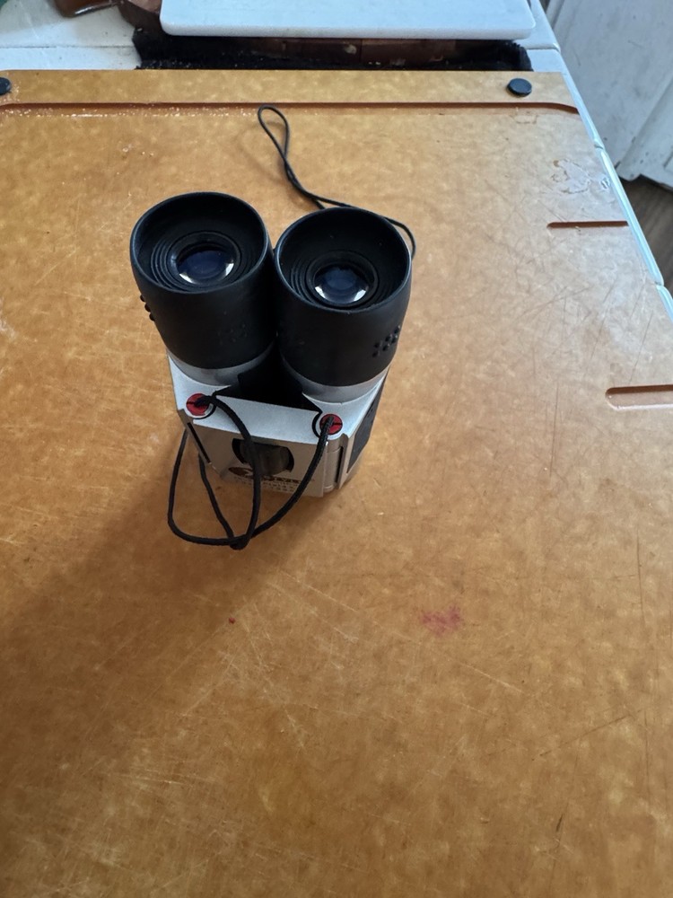 Outdoors Pocket Sized Binoculars - Compact Folding Field Glasses 10 x 25