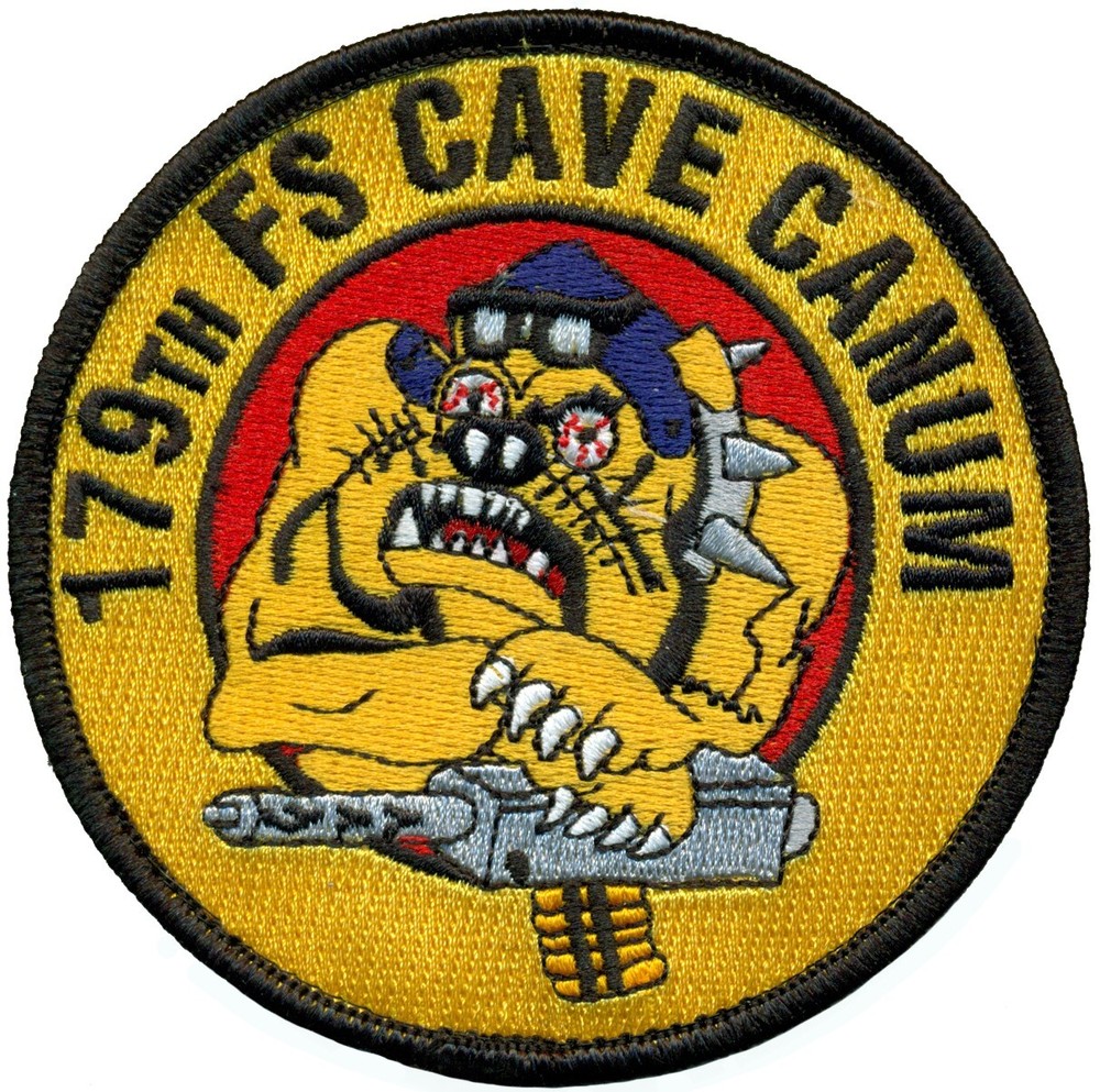 USAF 179th FIGHTER SQUADRON PATCH