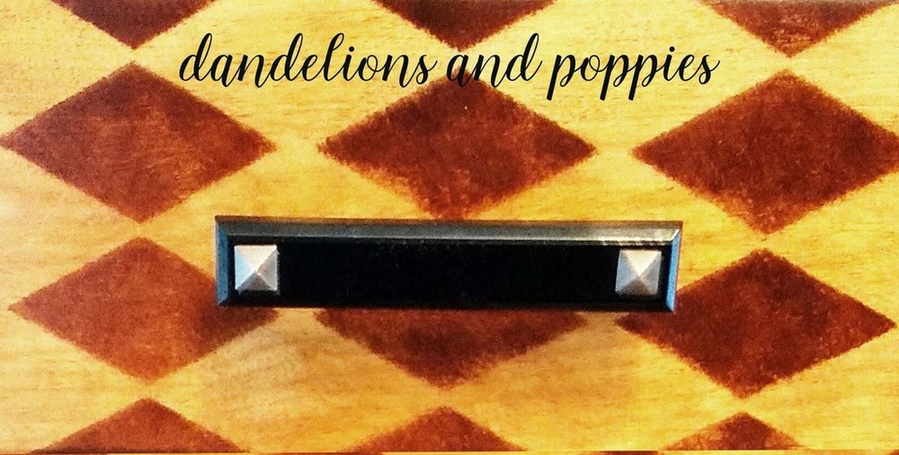 3-3/4" Kaley Pull Onyx Black & Brushed Stainless Steel