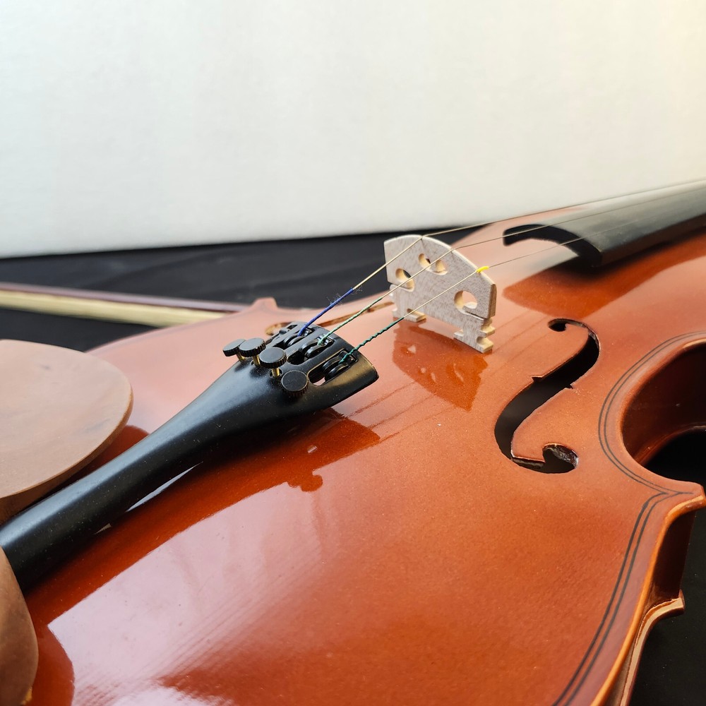 Student Violin w/ Case Bow Rosin String Cheek Rest 4/4 Size
