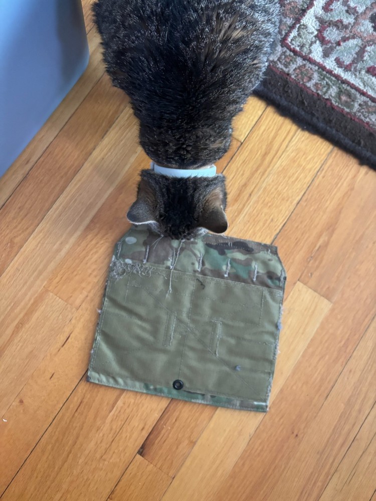 crye percision CPC AVS front panel molle placard, Cat included.
