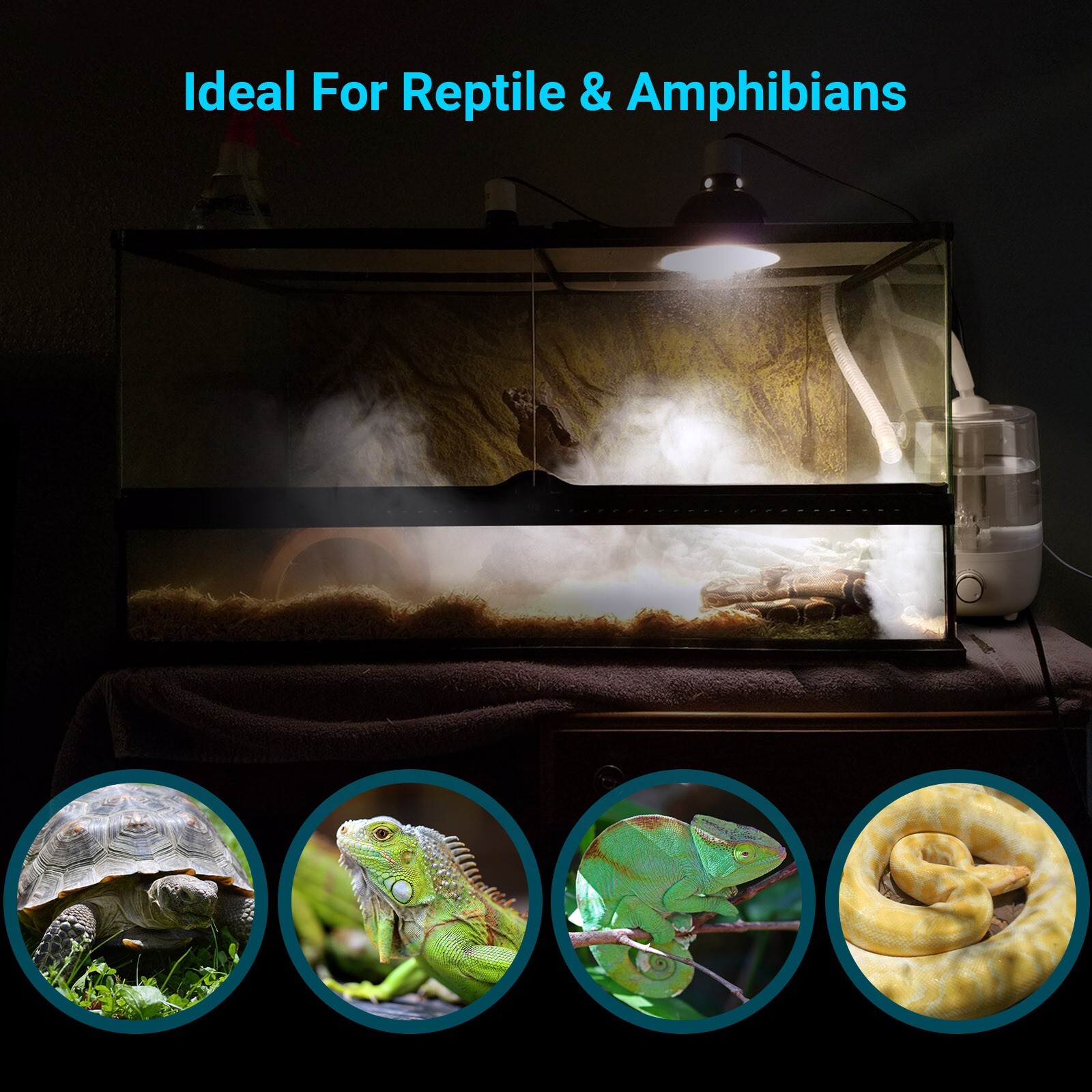 Reptile Humidifiers Fogger Mist 4L Large Tank Amphibians Terrarium Extended Hose