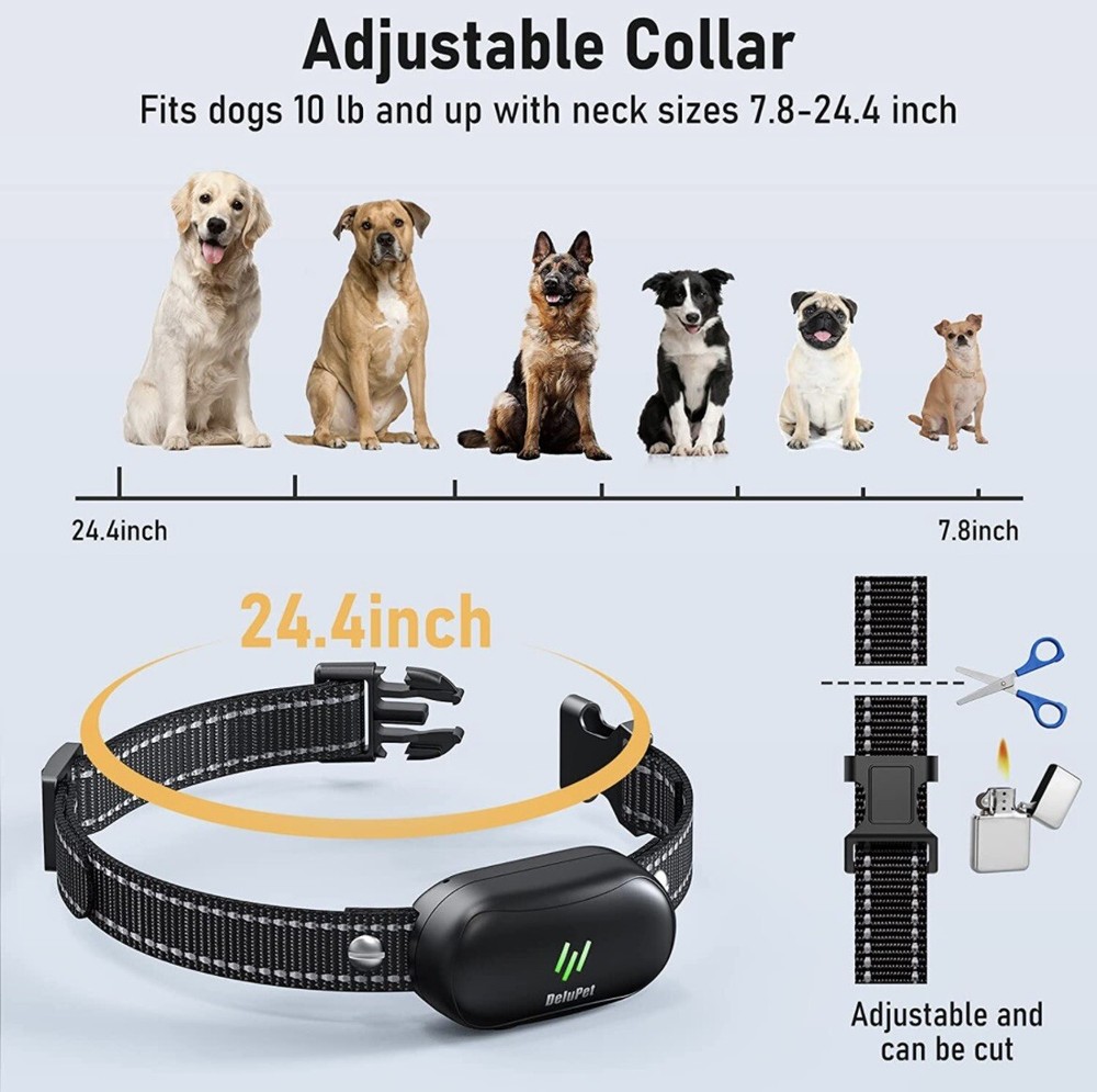 dog training collar with remote 2 dogs