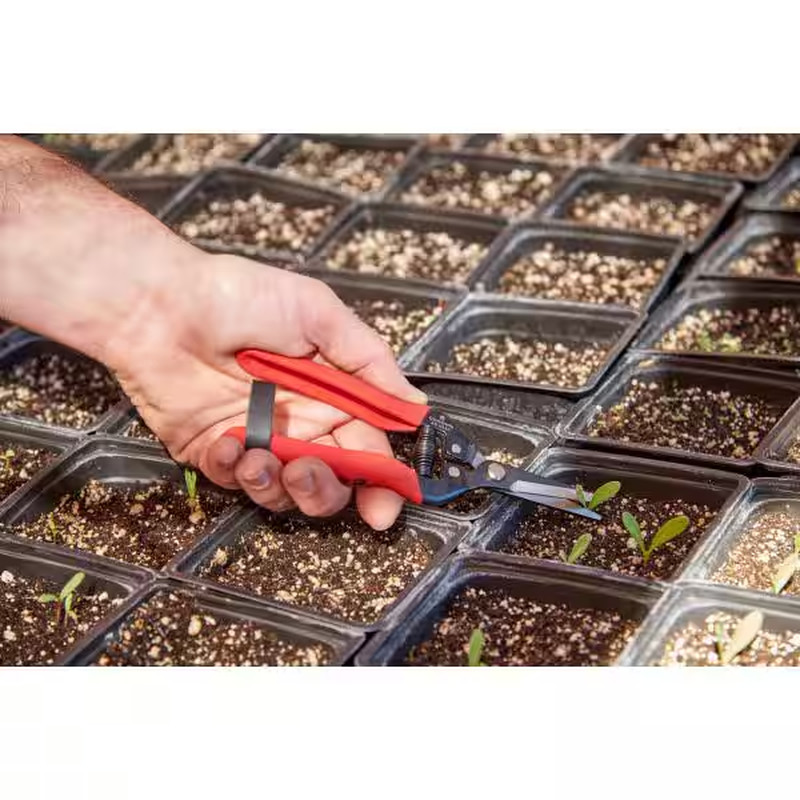 1.75 In. Tempered Steel Long Straight Snips