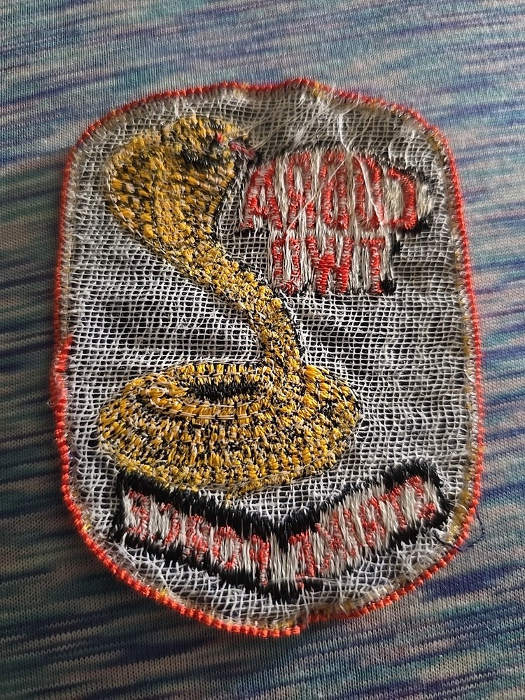 USAF US Air Force Officer Training School Cobra Two Strike Force Patch