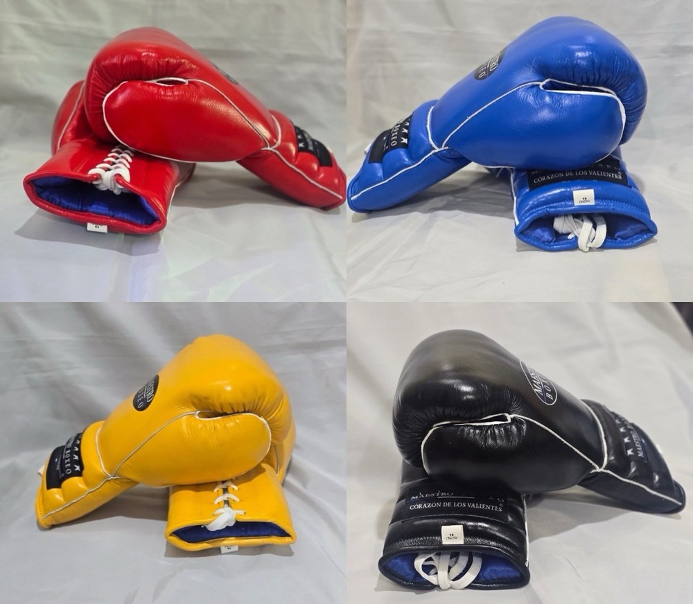 Maestro Boxeo