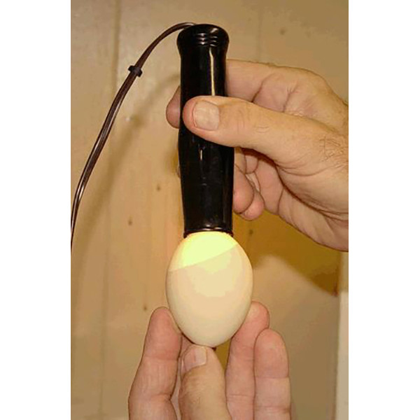 GQF 9046 - Cool-Lite Egg Tester